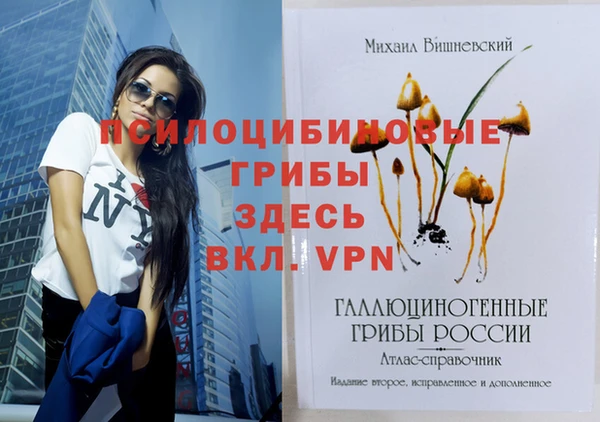 таблы Аркадак