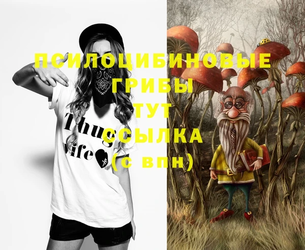 таблы Аркадак