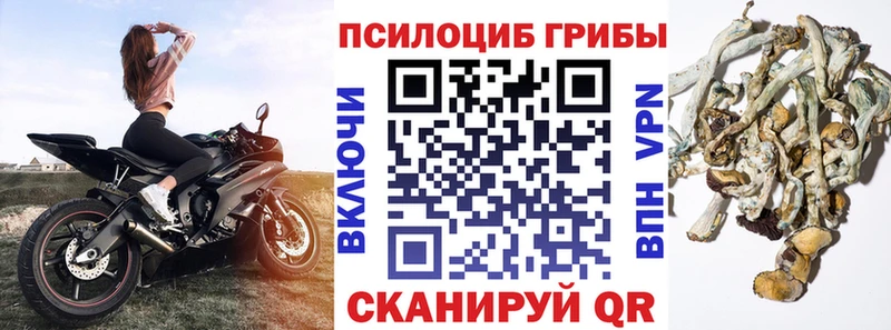 Галлюциногенные грибы Magic Shrooms  MEGA tor  Сысерть 